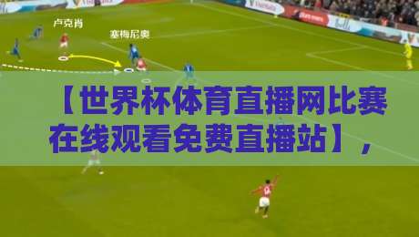 【世界杯体育直播网比赛在线观看免费直播站】，2026年球迷必收的观赛攻略！