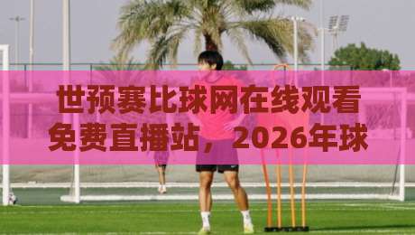 世预赛比球网在线观看免费直播站，2026年球迷必藏的观赛指南！
