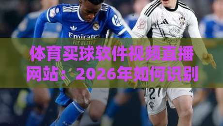 体育买球软件视频直播网站:2026年如何识别正规平台与规避风险? 体育买球软件视频直播网站:2026年如何识别正规平台与规避风险?