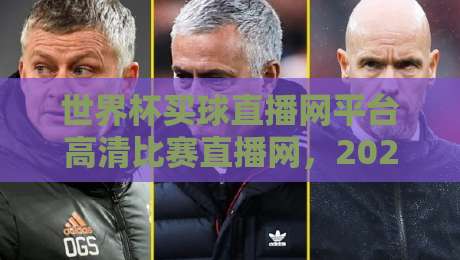 世界杯买球直播网平台高清比赛直播网，2026观赛新体验！