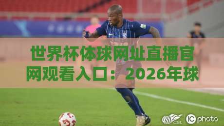 世界杯体球网址直播官网观看入口：2026年球迷必看的观赛渠道（世界杯体球网址直播官网观看入口）