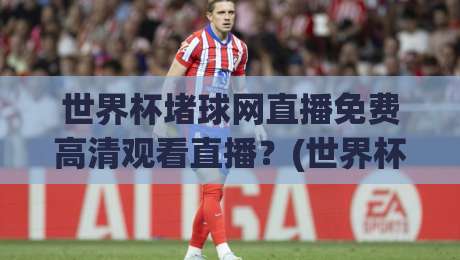 世界杯堵球网直播免费高清观看直播？(世界杯堵球网)2026看球新姿势！