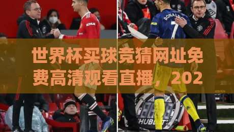 世界杯买球竞猜网址免费高清观看直播，2026年观赛新选择(世界杯高清直播)
