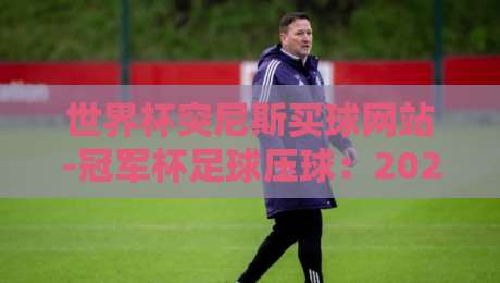 世界杯突尼斯买球网站-冠军杯足球压球:2026年球迷必看的防骗指南