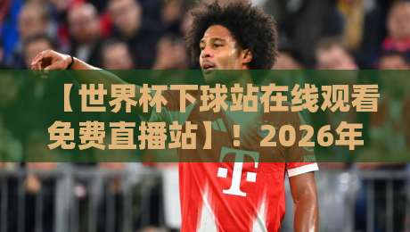 【世界杯下球站在线观看免费直播站】！2026年球迷必知的观赛新玩法