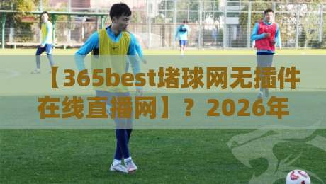【365best堵球网无插件在线直播网】？2026年观赛新姿势，无插件直播体验大揭秘