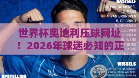 世界杯奥地利压球网址!2026年球迷必知的正规平台指南