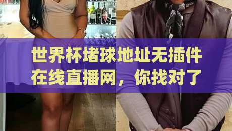 世界杯堵球地址无插件在线直播网，你找对了吗？(世界杯堵球地址无插件在线直播网) 2026新攻略