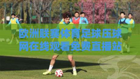 欧洲联赛体育足球压球网在线观看免费直播站:2026年球迷必备的观赛指南 欧洲联赛体育足球压球网在线观看免费直播站:2026年球迷必备的观赛指南