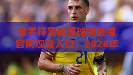 世界杯足球买球网直播官网观看入口，2026年最新指南来了！