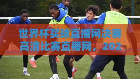 世界杯买球直播网决赛高清比赛直播网,2026年看球新姿势! 世界杯买球直播网决赛高清比赛直播网,2026年看球新姿势!