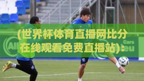 (世界杯体育直播网比分在线观看免费直播站)：2026年球迷必备的五大观赛法宝