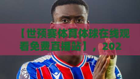 【世预赛体育体球在线观看免费直播站】，2026年观赛指南来了！