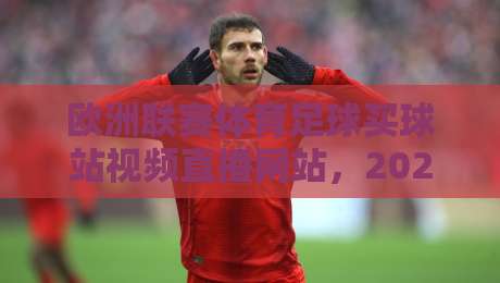 欧洲联赛体育足球买球站视频直播网站，2026年你该知道的那些事