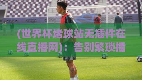 (世界杯堵球站无插件在线直播网)：告别繁琐插件，2026年世界杯高清免费观赛全攻略