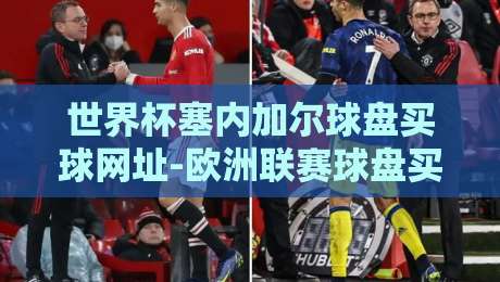 世界杯塞内加尔球盘买球网址-欧洲联赛球盘买球网,2026年球迷防坑指南与实用技巧
