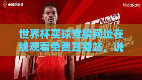 世界杯买球竞猜网址在线观看免费直播站，说到底你图个啥？