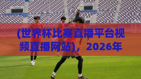 (世界杯比赛直播平台视频直播网站)，2026年观赛指南：哪些平台真正值得看？