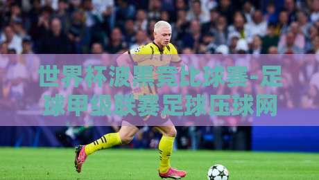 世界杯波黑竞比球赛-足球甲级联赛足球压球网：2026年热门赛事投注指南