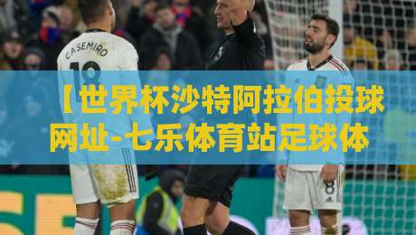 【世界杯沙特阿拉伯投球网址-七乐体育站足球体育】:2026年观赛新体验,你猜怎么着?