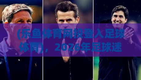 (乐鱼体育网投登入足球体育)，2026年足球迷的登入指南与实战心得