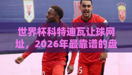 世界杯科特迪瓦让球网址,2026年最靠谱的盘口平台推荐