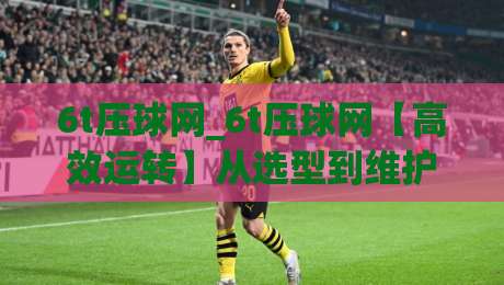 6t压球网_6t压球网【高效运转】从选型到维护,6t压球网如何让产线更顺畅?-今日最新外围体球站反波胆链接受让视频半全场动画 6t压球网_6t压球网【高效运转】从选型到维护,6t压球网如何让产线更顺畅?-今日最新外围体球站反波胆链接受让视频半全场动画