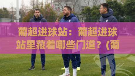 葡超进球站：葡超进球站里藏着哪些门道？(葡超进球站)数据流与观赛节奏的深度拆解-最全手机信誉压球站单双盘独赢波胆盘大球分析走地