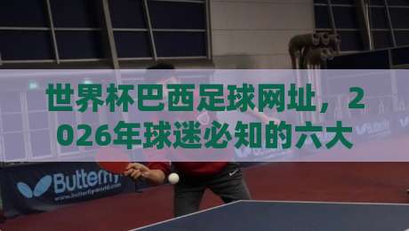 世界杯巴西足球网址,2026年球迷必知的六大官方与民间入口
