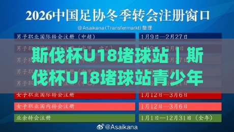 斯伐杯U18堵球站｜斯伐杯U18堵球站青少年赛事背后的热血与成长：斯伐杯U18堵球站现场氛围为何如此吸引人？-今日最新外围押球网平台赛后回放JRS大小球预测免安装