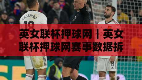 英女联杯押球网｜英女联杯押球网赛事数据拆解：从阵容轮换到临场节奏的实战思路-线上十大最稳下球网直播源不卡顿在线观看初盘全场回放投屏