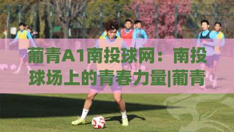 葡青A1南投球网：南投球场上的青春力量|葡青A1南投球网+基层赛事观察与场地体验-网上热门体球站下盘无需登录对比大礼包导航小球