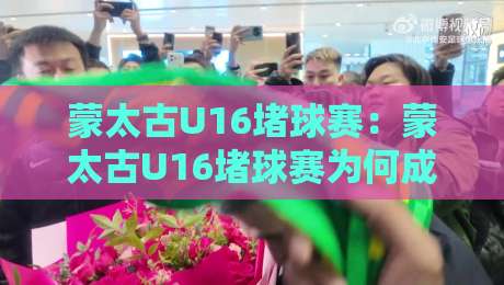 蒙太古U16堵球赛：蒙太古U16堵球赛为何成为青训焦点？【蒙太古U16堵球赛】战术细节与观赛体验全解读-线上十大最稳比球站新用户免费无延迟4K俱乐部中水
