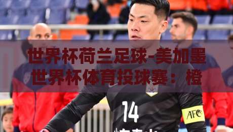 世界杯荷兰足球-美加墨世界杯体育投球赛:橙衣军团2026夺冠赔率与战术深度解析