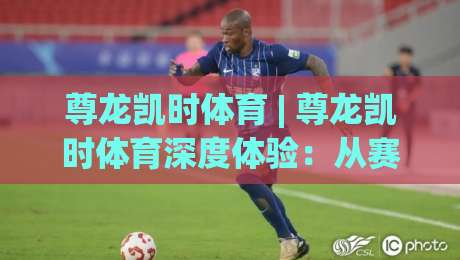 尊龙凯时体育 | 尊龙凯时体育深度体验：从赛事直播到互动玩法的全方位解读-网上热门堵球网入口无解说半场波胆登录交流攻略