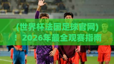 (世界杯法国足球官网)!2026年最全观赛指南与隐藏功能大揭秘