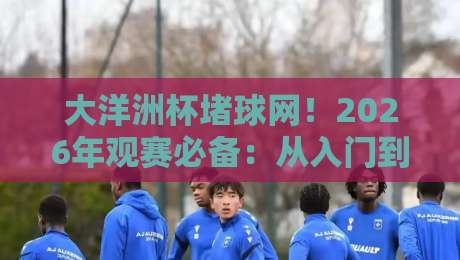 大洋洲杯堵球网!2026年观赛必备:从入门到精通的实战技巧全解析