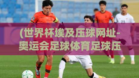 (世界杯埃及压球网址-奥运会足球体育足球压球)！2026年球迷必备指南【世界杯埃及压球网址】