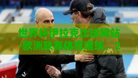 世界杯伊拉克比球网站-欧洲联赛体育堵球，2026年球迷避坑指南