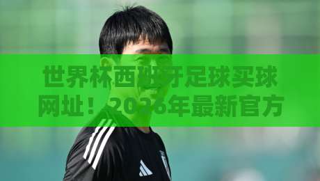 世界杯西班牙足球买球网址!2026年最新官方购票与在线投注平台推荐(附安全验证方法)