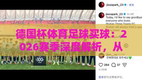 德国杯体育足球买球:2026赛季深度解析,从赛程到赔率,球迷如何理性参与与实战策略全分享