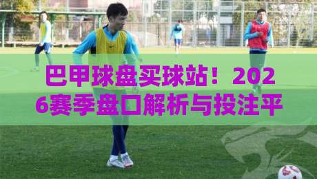 巴甲球盘买球站!2026赛季盘口解析与投注平台挑选指南