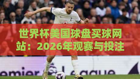世界杯美国球盘买球网站:2026年观赛与投注指南,这些细节你注意到了吗?