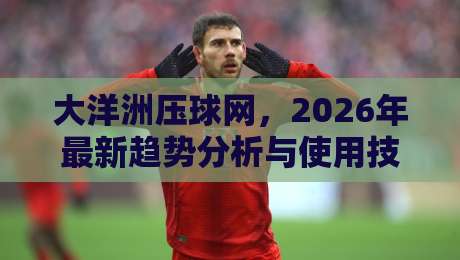 大洋洲压球网,2026年最新趋势分析与使用技巧(大洋洲压球网)全面解读
