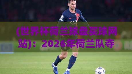(世界杯荷兰球盘买球网站):2026年荷兰队夺冠赔率与实战指南