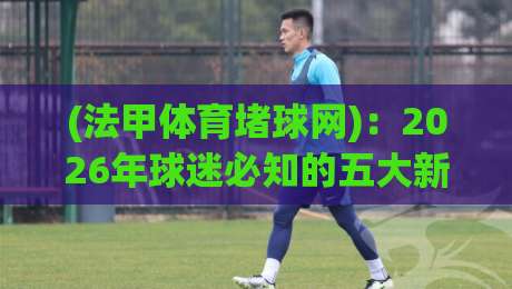 (法甲体育堵球网):2026年球迷必知的五大新趋势