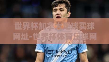 世界杯加拿大足球买球网址-世界杯体育压球网：2026年世界杯投注平台选择指南(世界杯加拿大足球买球网址)