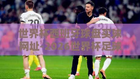 世界杯西班牙球盘买球网址-2026世界杯足球压球网：球迷必看的安全下注指南