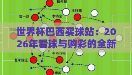 世界杯巴西买球站：2026年看球与购彩的全新指南