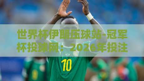 世界杯伊朗压球站-冠军杯投球网：2026年投注新玩法与避坑指南